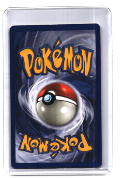 Pidgeot 8/64 Vintage Holo Rare Jungle Unlimited Edition Pokemon Card 1999 WOTC - Image 2