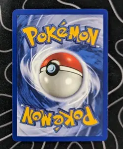 Kabuto 50/62 1st Edition Fossil Set Pokemon Tcg Card Vintage Wotc Near Mint - Image 4