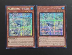 2025 YUGIOH MP25 1ST ED SECRET RARE MULCHARMY PURULIA X2 NM SET - Image 1