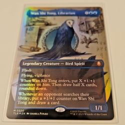 Wan Shi Tong, Librarian 0320 Borderless Foil MTG Avatar: The Last Airbender NM - Image 3