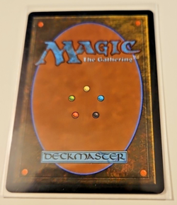 Wan Shi Tong, Librarian 0320 Borderless Foil MTG Avatar: The Last Airbender NM - Image 5