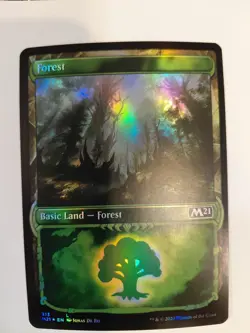 Forest (Showcase) Core Set 2021 Foil - Image 1