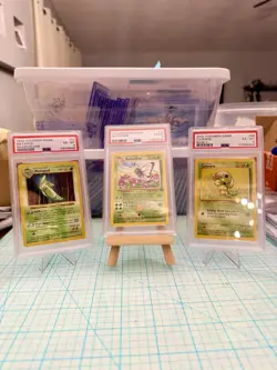 Butterfree, Metapod, Caterpie 1999 Pokemon Jungle PSA 6 ALL EVOLUTIONS - Image 1