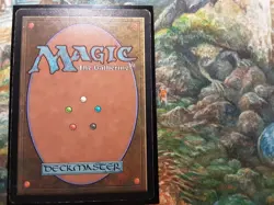 Coat of Arms Exodus Rare (PANGOLIN MTG) HP but not damaged! OG print, See Pics! - Image 4