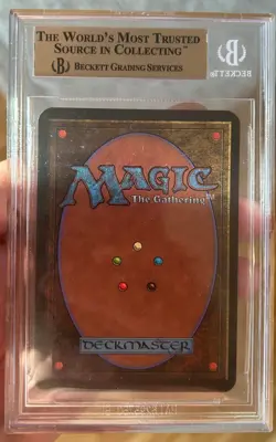 MTG Alpha Wall of Ice BGS 9.5 Basic MINT 1993 - Image 2