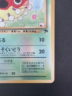 Pokemon Southern Islands Japanese Ledyba Rare Vintage Promo Reverse Holo - Image 5