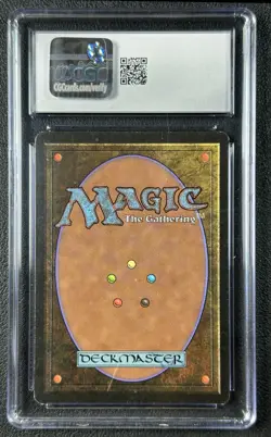NORTHERN PALADIN CGC 6 1993 MAGIC: THE GATHERING MTG BETA LIMITED RARE 2064 - Image 2