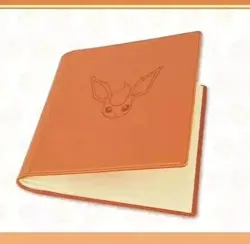 Pokemon S-Chinese Sealed Gift Box Flareon Eevee GX theme 480 slots Card Binder - Image 4