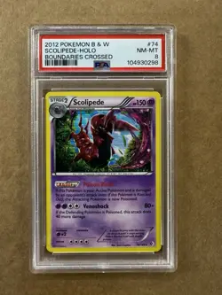 PSA 8 - 2012 POKEMON SCOLIPEDE Holo 74/149 - Boundaries Crossed - Image 1