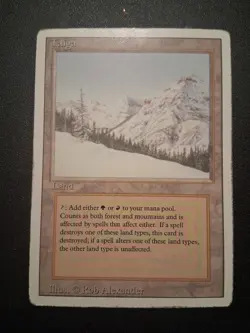 Taiga Magic the Gathering Revised Edition Dual Land - Image 1