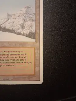 Taiga Magic the Gathering Revised Edition Dual Land - Image 4
