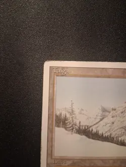 Taiga Magic the Gathering Revised Edition Dual Land - Image 5