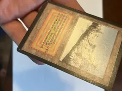 MTG Beta Taiga Nm Dual land - Image 4