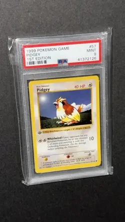 1999 Pokemon Pidgey Base Set 1st Edition Shadowless 57/102 PSA 9 - Image 3