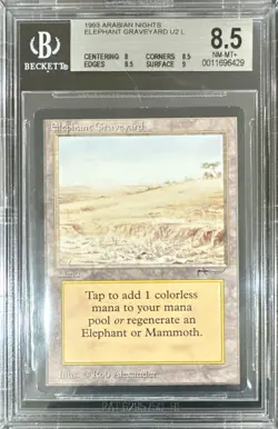 1993 MTG Arabian Nights Elephant Graveyard BGS 8.5 Near Mint+ - Image 1