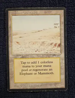 Magic The Gathering MTG Elephant Graveyard 1993 Arabian Nights MP - Image 1