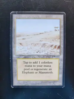 Elephant Graveyard Magic: The Gathering MTG x1 Arabian Nights Lightly Played - Image 1