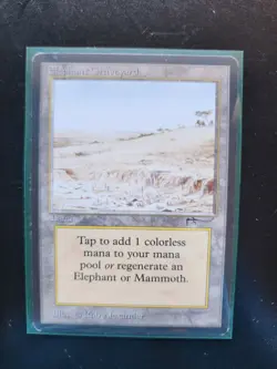 Elephant Graveyard Magic: The Gathering MTG x1 Arabian Nights Lightly Played - Image 3