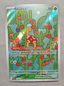 Pokemon mTCG, Shuckle 136/132 Me01: Mega Evolution Holo, Illustration Rare, NM - Image 4