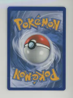 2020 Pokemon Champion's Path Secret Rare #079/073 Charizard V - Image 2