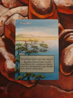 Magic the Gathering Flood Plain Hand Painted Unique Custom MTG Alter - Image 1