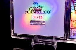 Reze Waifu Card Serial #11/25 LIMITED RELEASE Encased Custom Holo SLAB Mag CSM - Image 5