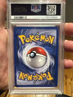 PSA 8 NM-MT Caninos 1ST EDITION FRENCH Pokemon Base Set 1999 28 - Image 3