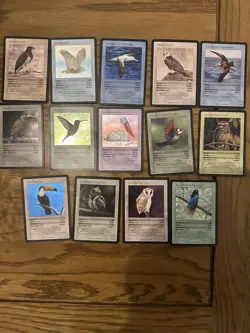 Life TCG Birds Holo Cards Job Lot Bundle - 14 holos! - Image 1