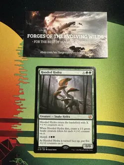 Hooded Hydra Commander 2019 C19 - Image 1