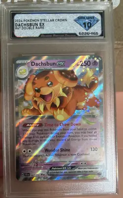 Pokemon Dachsbun ex 067/142: Stellar Crown Holo DSG 10 - Image 1