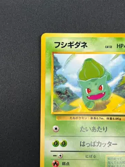 [LP] Bulbasaur Pokemon Japan No.001 VHS Intro Pack Bulbasaur Deck Vintage 25J22 - Image 4