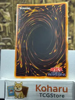 Yugioh Red-Eyes Black Metal Dragon Secret Rare Japanese Promo Vintage 1999 -EX - Image 2