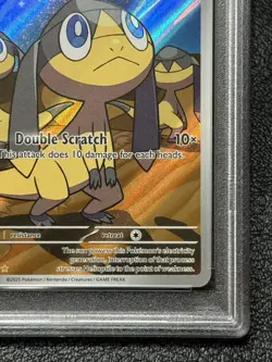 Helioptile 143/132 - PSA 10 - Illustration Rare - Pokemon TCG: Mega Evolution - Image 4