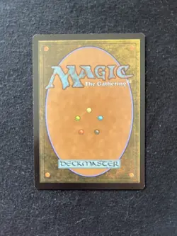 Magic the Gathering Windswept Heath 005 Zendikar Rising: Expedition NM Mythic - Image 3