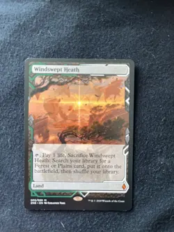 Magic the Gathering Windswept Heath 005 Zendikar Rising Expeditions NM - Image 1
