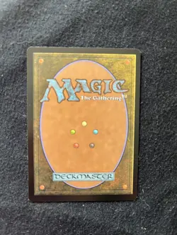 Magic the Gathering Windswept Heath 005 Zendikar Rising Expeditions NM - Image 3