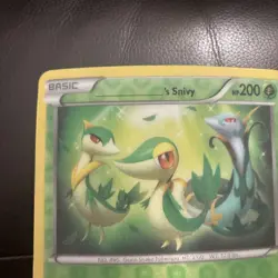 NM JUMBO _____'s Snivy Pokemon Card - Image 4