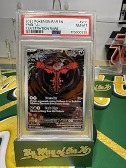 2023 POKEMON PAR EN-PARADOX RIFT ILLUSTRATION RARE #205 YVELTAL PSA 8 - Image 1