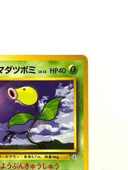 LP EX Pokemon Card Erika's Bellsprout No.069 OLD BACK Japan - Image 3