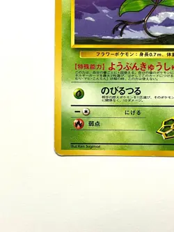 LP EX Pokemon Card Erika's Bellsprout No.069 OLD BACK Japan - Image 4