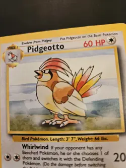 Pokemon TCG Pidgeotto 22/102 Base Set Non-Holo Rare Card 1999 - Image 2