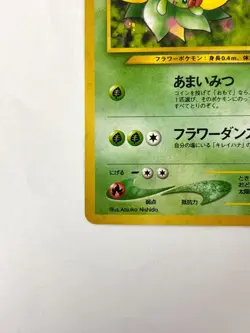 LP EX Pokemon Card Bellossom No.182 HOLO OLD BACK JAPAN - Image 4