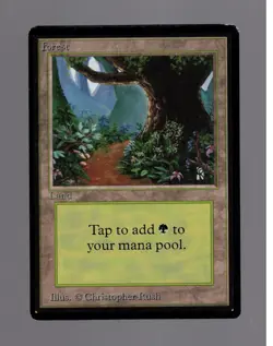 Forest HP MTG Magic the Gathering Beta Basic Land (C) Very Light Play - Image 1