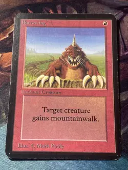 Burrowing x1 mtg Alpha Lp - Image 1