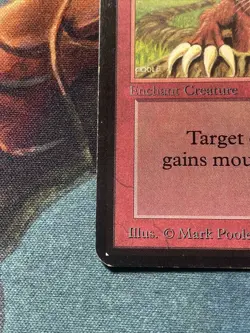 Burrowing x1 mtg Alpha Lp - Image 3