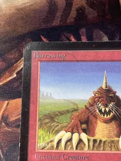 Burrowing x1 mtg Alpha Lp - Image 4