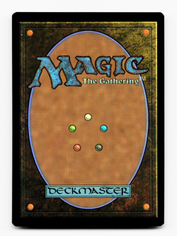 Endurance [Commander: Lorwyn Eclipsed] MTG NM 🌳 - Image 2