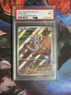 PSA 9 - Minccino - 152/086 - Black Bolt - Illustration Rare - Pokemon TCG Card - Image 1