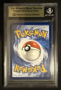 2024 Pokemon Stellar Crown Terapagos ex 170/142 SIR BGS 9.5 Gem Mint Beckett - Image 2