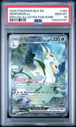 2025 POKEMON BLK EN-BLACK BOLT SPECIAL ILLUSTRATION RARE SERPERIOR EX PSA 10 - Image 1